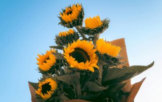 Floristería en Málaga con ramos personalizados